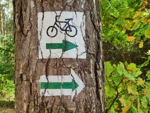 Wschodni szlak rowerowy Green Velo