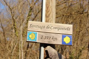 Pieszo z Polski do Santiago de Compostela