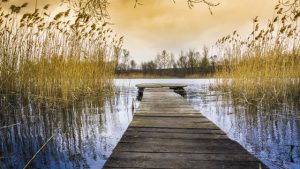Expo mazury co warto zobaczyć?