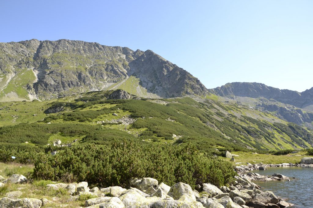 Apartamenty w Zakopanem - spędź czas w luksusie