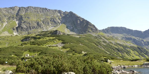 Apartamenty w Zakopanem - spędź czas w luksusie