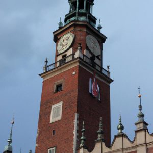 muzea Poznań
