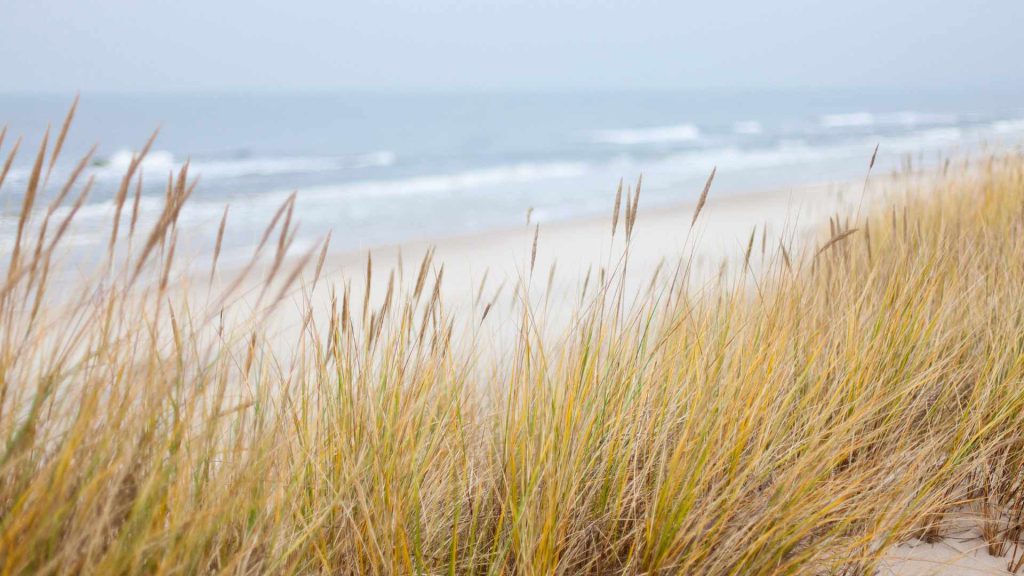 Kiedy nad morzem jest najwięcej jodu