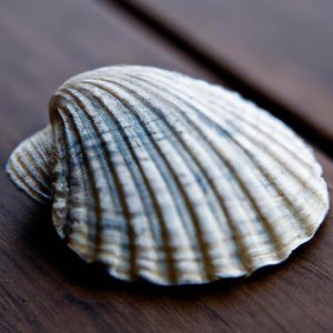 Najlepsza restauracja Mielno: Kuchnia nadbałtycka