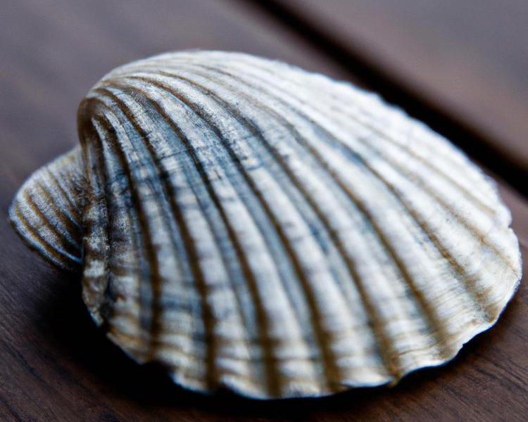 Najlepsza restauracja Mielno: Kuchnia nadbałtycka