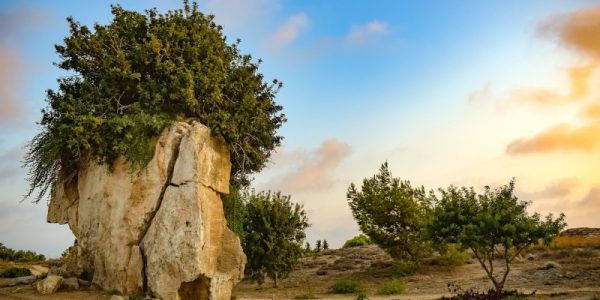  Luksusowe wakacje w Pafos