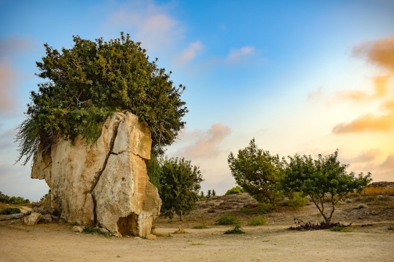  Luksusowe wakacje w Pafos
